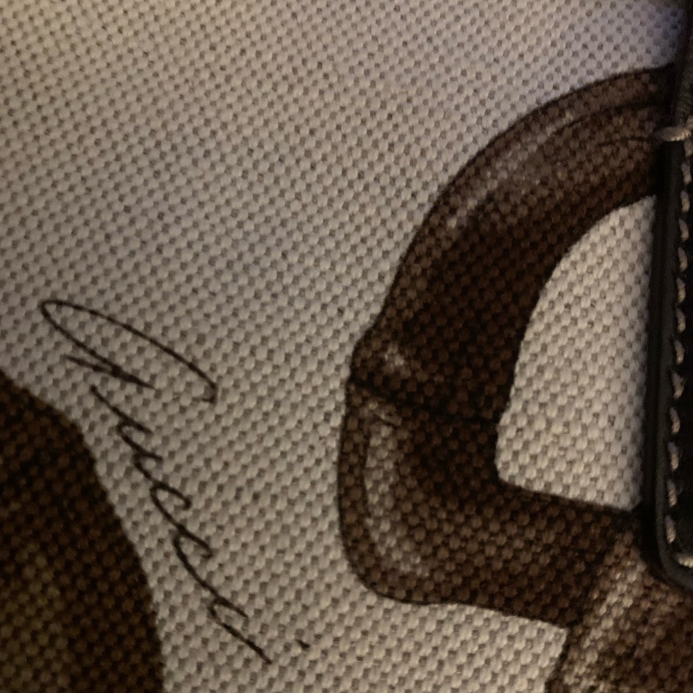 Authentic Gucci Bag